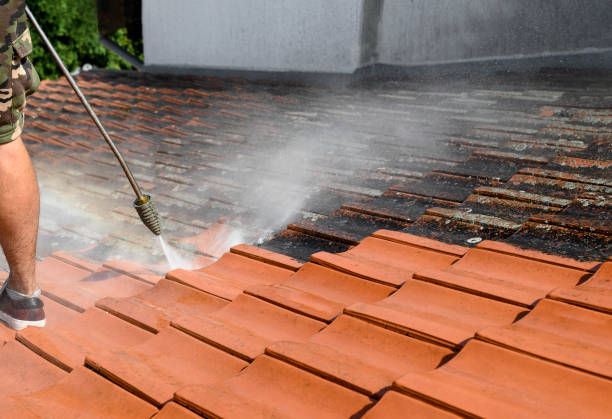 Deck Cleaning Services in La Vista, NE