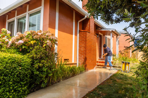 Best Pressure Washing Near Me  in La Vista, NE