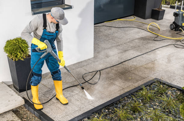 Best Deck Cleaning Services  in La Vista, NE